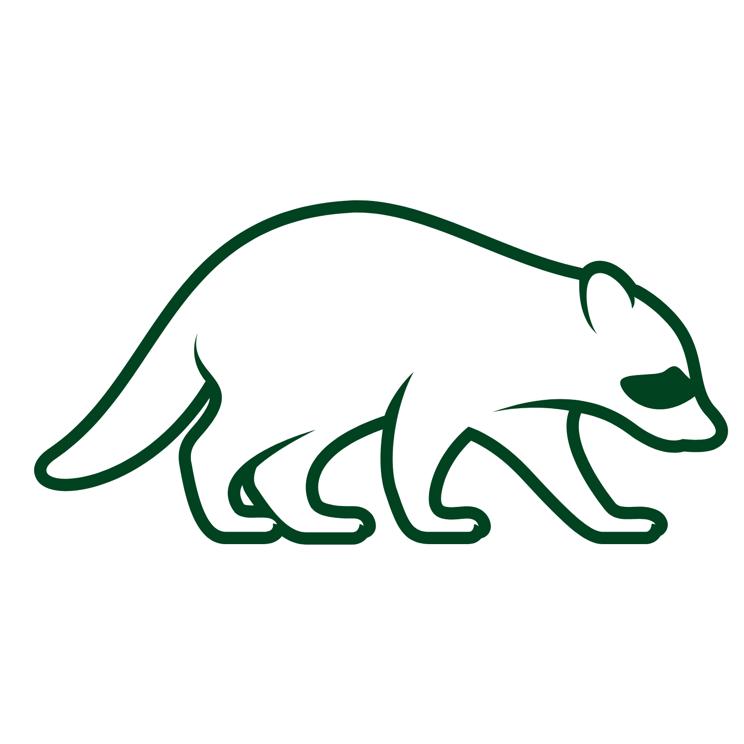 raccoon icon